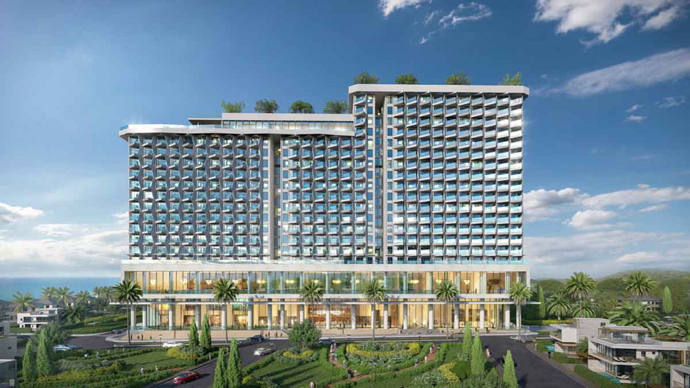 Thời điểm xuất hiện và phát triển tại Việt Nam